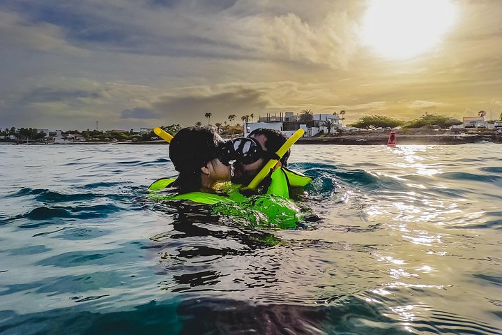 Snorkel met zeeschildpadden en kleurrijke vissen in het heldere water van Aruba, foto 12 | wizardtrip