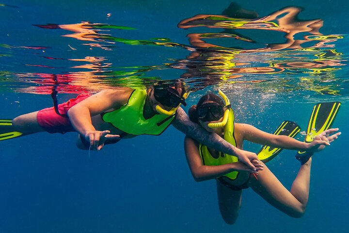 Snorkel met zeeschildpadden en kleurrijke vissen in het heldere water van Aruba, foto 14 | wizardtrip