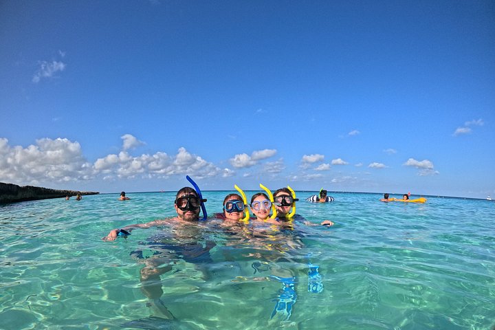 Snorkel met zeeschildpadden en kleurrijke vissen in het heldere water van Aruba, foto 25 | wizardtrip