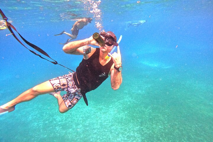 Snorkel met zeeschildpadden en kleurrijke vissen in het heldere water van Aruba, foto 29 | wizardtrip