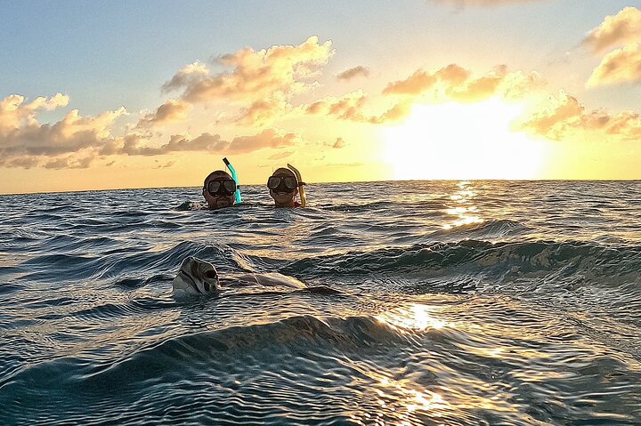 Snorkel met zeeschildpadden en kleurrijke vissen in het heldere water van Aruba, foto 32 | wizardtrip