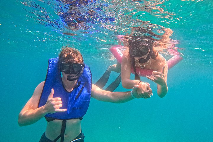 Snorkel met zeeschildpadden en kleurrijke vissen in het heldere water van Aruba, foto 40 | wizardtrip