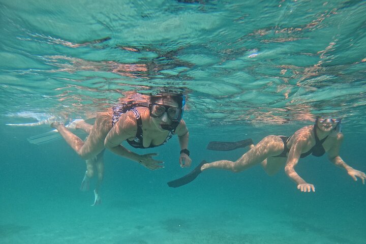 Snorkel met zeeschildpadden en kleurrijke vissen in het heldere water van Aruba, foto 45 | wizardtrip