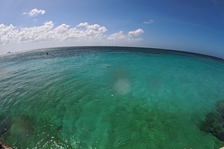 Snorkel met zeeschildpadden en kleurrijke vissen in het heldere water van Aruba, foto 46 | wizardtrip