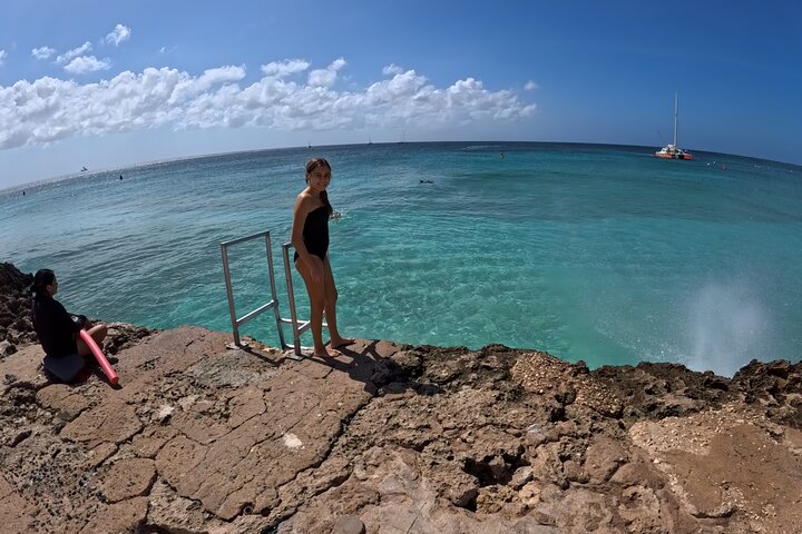 Snorkel met zeeschildpadden en kleurrijke vissen in het heldere water van Aruba, foto 47 | wizardtrip
