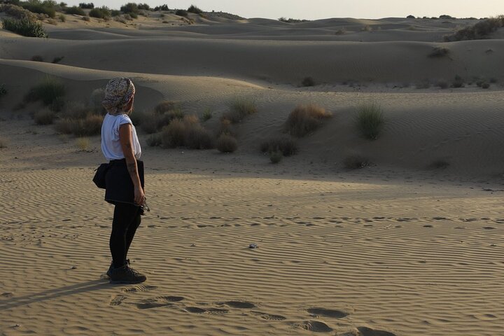 Aventura de safari de camelo noturno no Deserto de Thar, Jaisalmer, Índia, foto 7 | wizardtrip