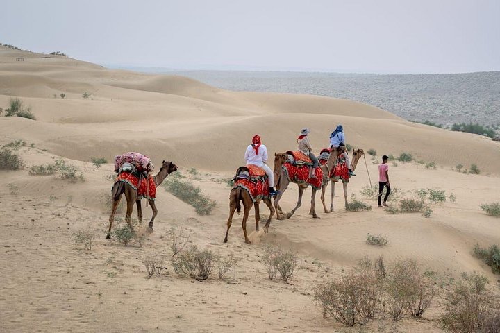 Übernachtung Kamel Safari Abenteuer in der Thar Wüste, Jaisalmer, Indien, mit Sonnenuntergang und Sternenbeobachtung, Foto 6 | wizardtrip