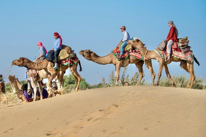 Übernachtung Kamel Safari Abenteuer in der Thar Wüste, Jaisalmer, Indien, mit Sonnenuntergang und Sternenbeobachtung, Foto 8 | wizardtrip