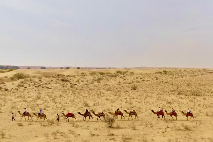 Übernachtung Kamel Safari Abenteuer in der Thar Wüste, Jaisalmer, Indien, mit Sonnenuntergang und Sternenbeobachtung, Foto 10 | wizardtrip