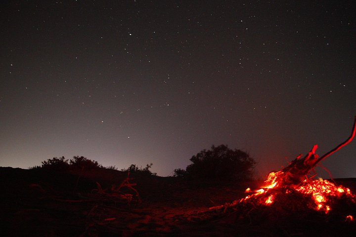 Übernachtung Kamel Safari Abenteuer in der Thar Wüste, Jaisalmer, Indien, mit Sonnenuntergang und Sternenbeobachtung, Foto 12 | wizardtrip