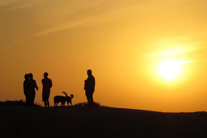 Übernachtung Kamel Safari Abenteuer in der Thar Wüste, Jaisalmer, Indien, mit Sonnenuntergang und Sternenbeobachtung, Foto 13 | wizardtrip