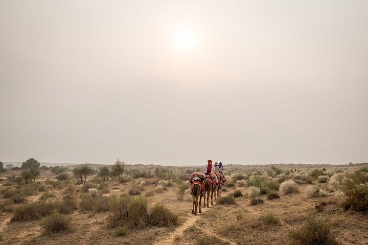 Übernachtung Kamel Safari Abenteuer in der Thar Wüste, Jaisalmer, Indien, mit Sonnenuntergang und Sternenbeobachtung, Foto 14 | wizardtrip