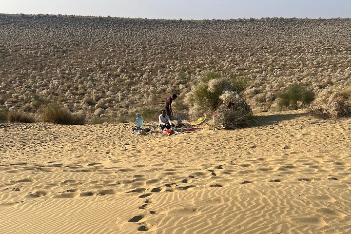Übernachtung Kamel Safari Abenteuer in der Thar Wüste, Jaisalmer, Indien, mit Sonnenuntergang und Sternenbeobachtung, Foto 16 | wizardtrip