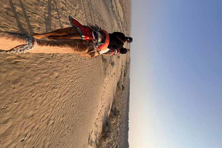 Übernachtung Kamel Safari Abenteuer in der Thar Wüste, Jaisalmer, Indien, mit Sonnenuntergang und Sternenbeobachtung, Foto 17 | wizardtrip