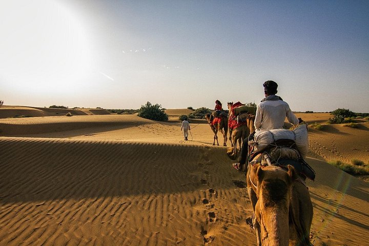 Übernachtung Kamel Safari Abenteuer in der Thar Wüste, Jaisalmer, Indien, mit Sonnenuntergang und Sternenbeobachtung, Foto 21 | wizardtrip