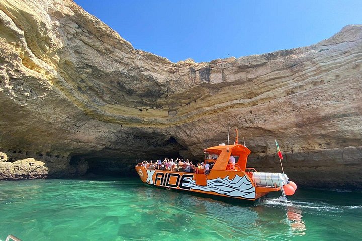 Dolphin Watching and Caves Cruise | wizardtrip