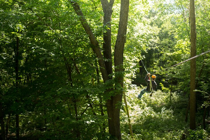 Experience the thrill of ziplining through the Minnesota River Valley canopy, photo 12 | wizardtrip