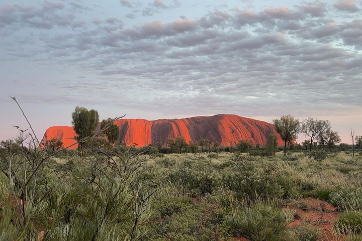 Excursion en Segway autour de la base d'Uluru au lever du soleil, incluant marche guidée et petit-déjeuner, photo 10 | wizardtrip