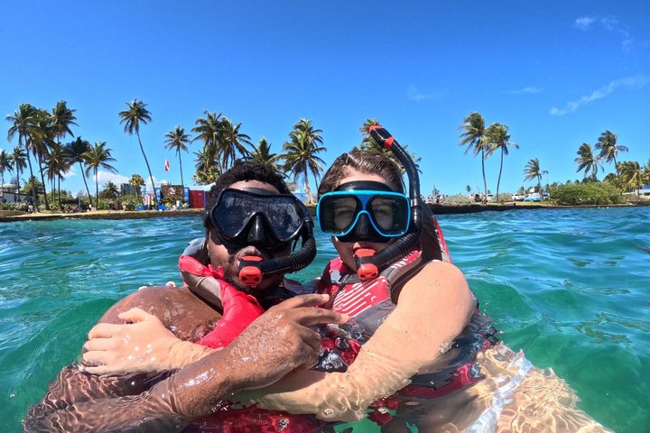 Snorkletur i San Juan, Puerto Rico, med havskilpadder og fargerike fisker, foto 6 | wizardtrip