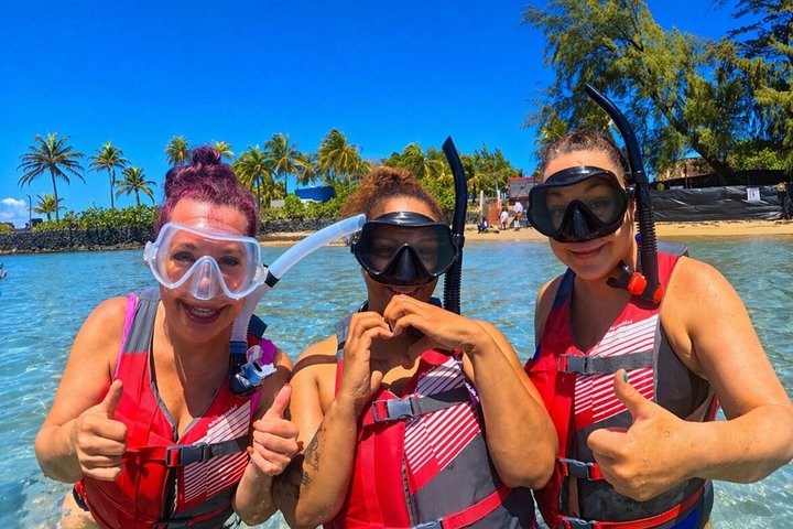 Snorkletur i San Juan, Puerto Rico, med havskilpadder og fargerike fisker, foto 8 | wizardtrip