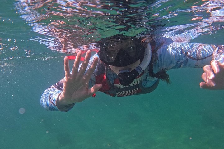 Snorkletur i San Juan, Puerto Rico, med havskilpadder og fargerike fisker, foto 13 | wizardtrip