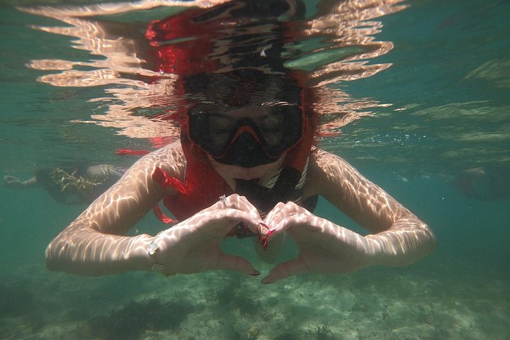 Snorkletur i San Juan, Puerto Rico, med havskilpadder og fargerike fisker, foto 14 | wizardtrip