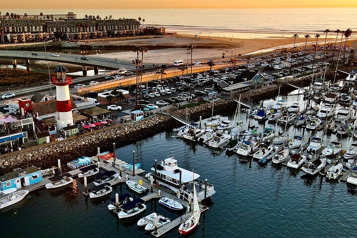 Opplev en 2-timers luksus hvalsafari fra Oceanside, se mangfoldig liv i havet fra en katamaran, foto 9 | wizardtrip