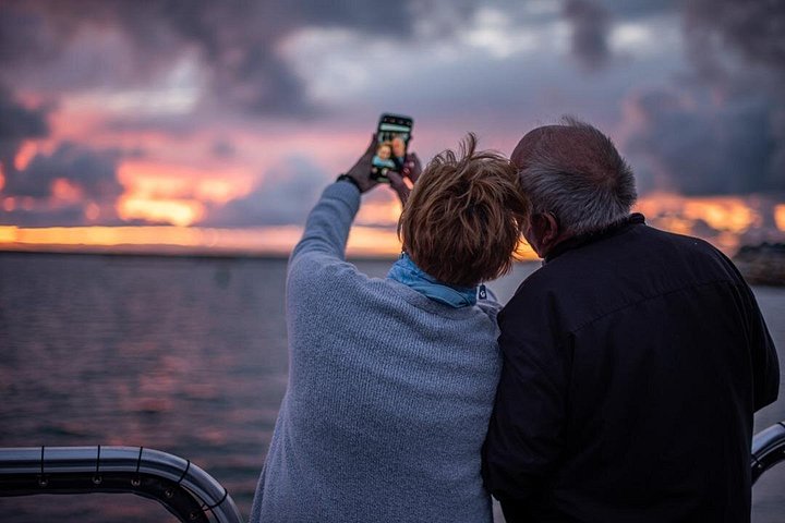 Opplev en 2-timers luksus hvalsafari fra Oceanside, se mangfoldig liv i havet fra en katamaran, foto 12 | wizardtrip