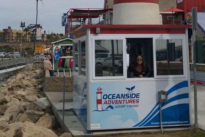 Opplev en 2-timers luksus hvalsafari fra Oceanside, se mangfoldig liv i havet fra en katamaran, foto 15 | wizardtrip