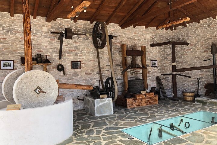 Visite de l'oliveraie du Gouverneur avec dégustation d'huile d'olive | wizardtrip
