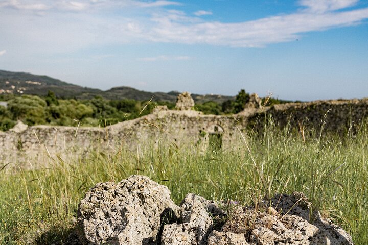 Geführte Tour und Olivenölverkostung in der Olivenölfabrik "The Governor" auf Korfu, Griechenland, Foto 21 | wizardtrip