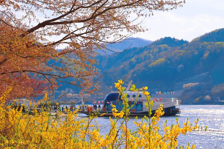 Naturskøn dagsudflugt til Nami Island, The Garden of Morning Calm og Gangchon Rail Park fra Seoul, Sydkorea, foto 6 | wizardtrip