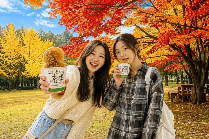 Naturskøn dagsudflugt til Nami Island, The Garden of Morning Calm og Gangchon Rail Park fra Seoul, Sydkorea, foto 7 | wizardtrip