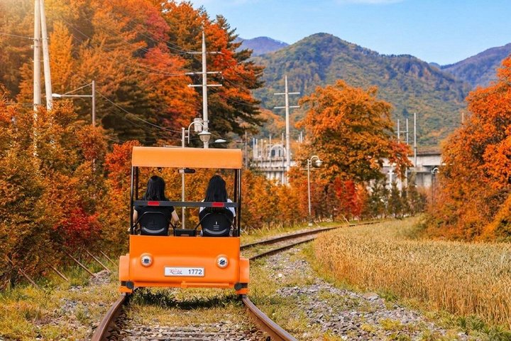 Naturskøn dagsudflugt til Nami Island, The Garden of Morning Calm og Gangchon Rail Park fra Seoul, Sydkorea, foto 9 | wizardtrip