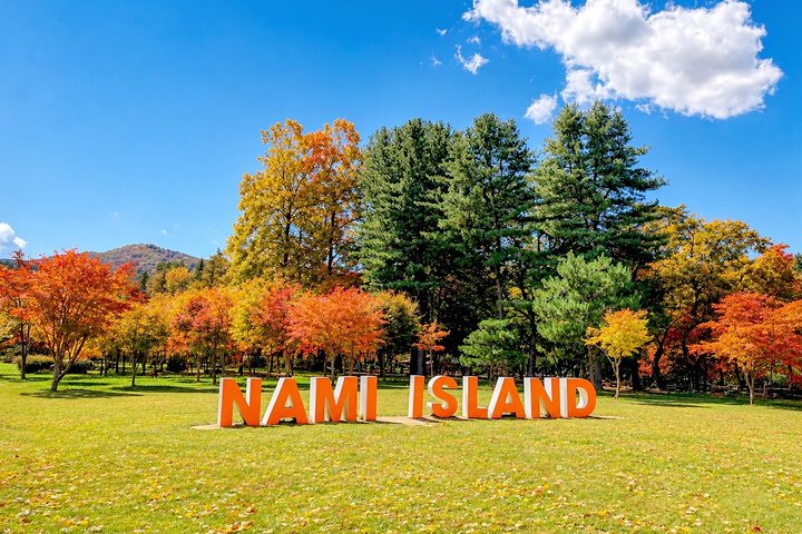 Naturskøn dagsudflugt til Nami Island, The Garden of Morning Calm og Gangchon Rail Park fra Seoul, Sydkorea, foto 12 | wizardtrip