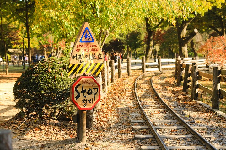Naturskøn dagsudflugt til Nami Island, The Garden of Morning Calm og Gangchon Rail Park fra Seoul, Sydkorea, foto 13 | wizardtrip