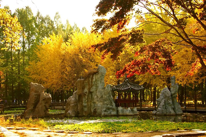 Naturskøn dagsudflugt til Nami Island, The Garden of Morning Calm og Gangchon Rail Park fra Seoul, Sydkorea, foto 14 | wizardtrip
