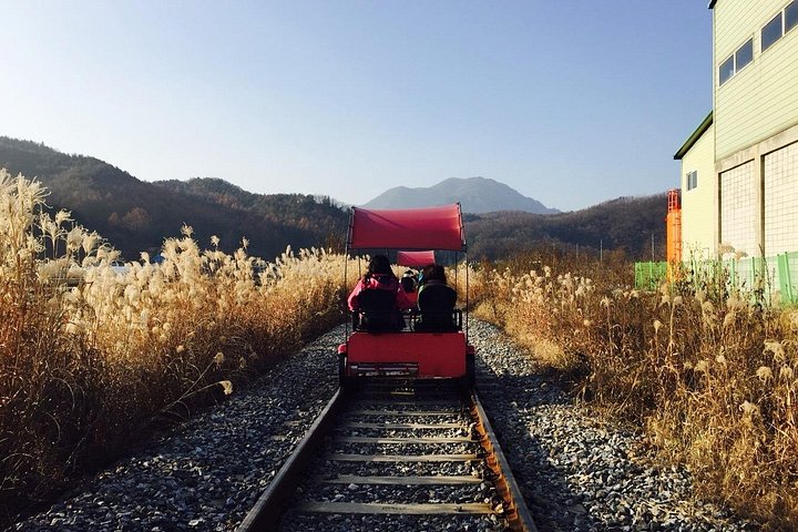 Naturskøn dagsudflugt til Nami Island, The Garden of Morning Calm og Gangchon Rail Park fra Seoul, Sydkorea, foto 15 | wizardtrip