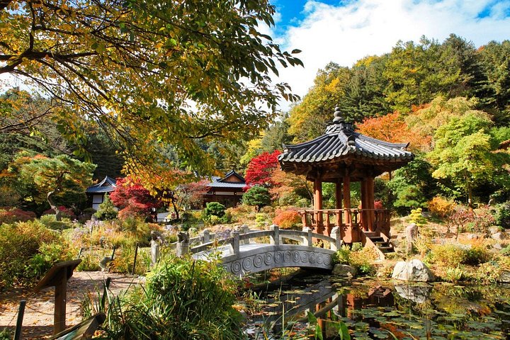 Naturskøn dagsudflugt til Nami Island, The Garden of Morning Calm og Gangchon Rail Park fra Seoul, Sydkorea, foto 17 | wizardtrip