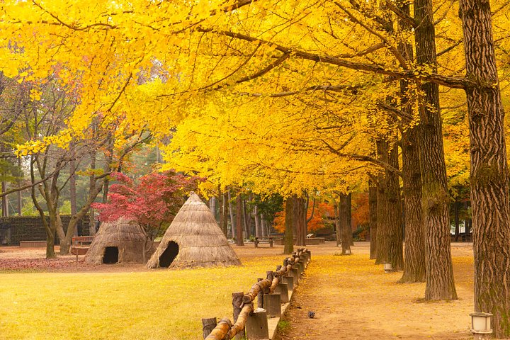 Naturskøn dagsudflugt til Nami Island, The Garden of Morning Calm og Gangchon Rail Park fra Seoul, Sydkorea, foto 18 | wizardtrip