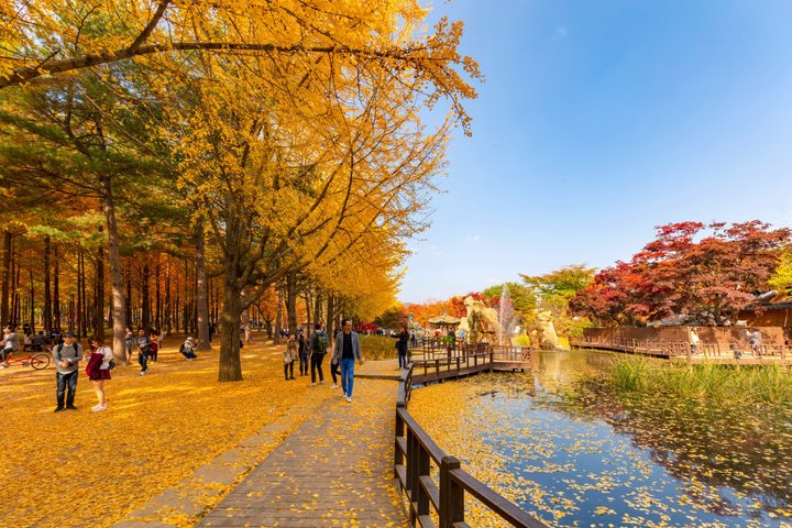 Naturskøn dagsudflugt til Nami Island, The Garden of Morning Calm og Gangchon Rail Park fra Seoul, Sydkorea, foto 19 | wizardtrip