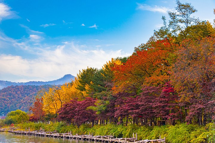 Naturskøn dagsudflugt til Nami Island, The Garden of Morning Calm og Gangchon Rail Park fra Seoul, Sydkorea, foto 25 | wizardtrip