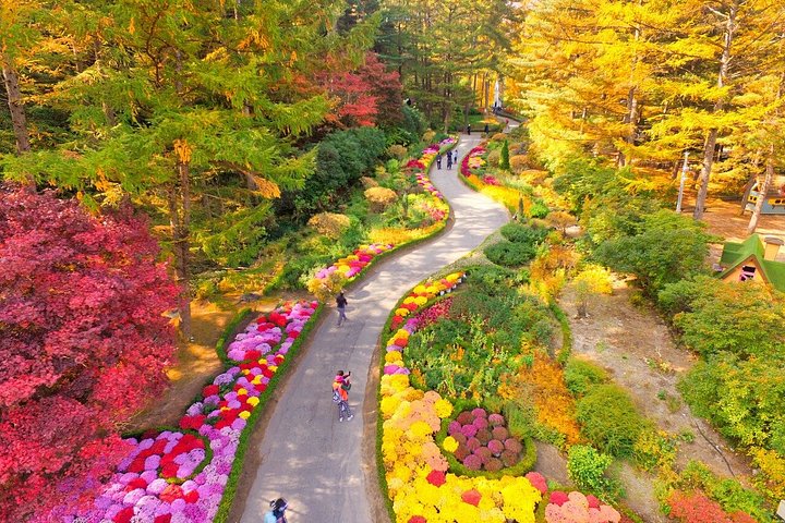 Naturskøn dagsudflugt til Nami Island, The Garden of Morning Calm og Gangchon Rail Park fra Seoul, Sydkorea, foto 26 | wizardtrip