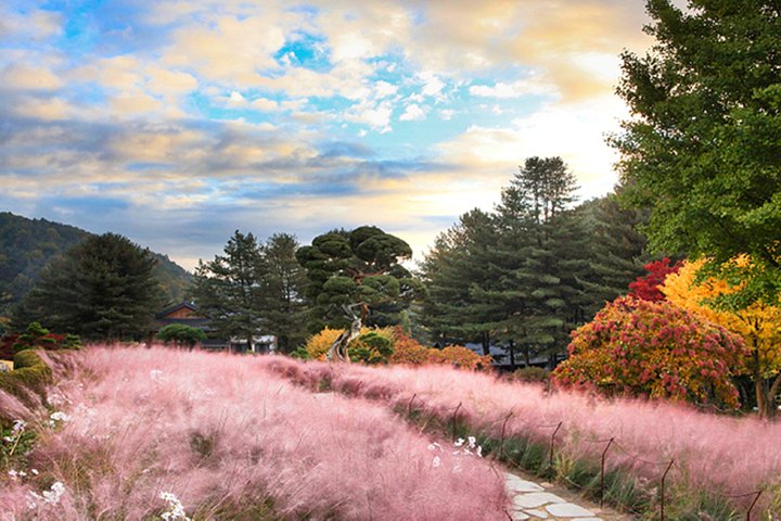 Naturskøn dagsudflugt til Nami Island, The Garden of Morning Calm og Gangchon Rail Park fra Seoul, Sydkorea, foto 32 | wizardtrip