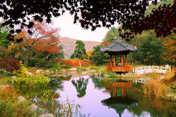 Naturskøn dagsudflugt til Nami Island, The Garden of Morning Calm og Gangchon Rail Park fra Seoul, Sydkorea, foto 33 | wizardtrip