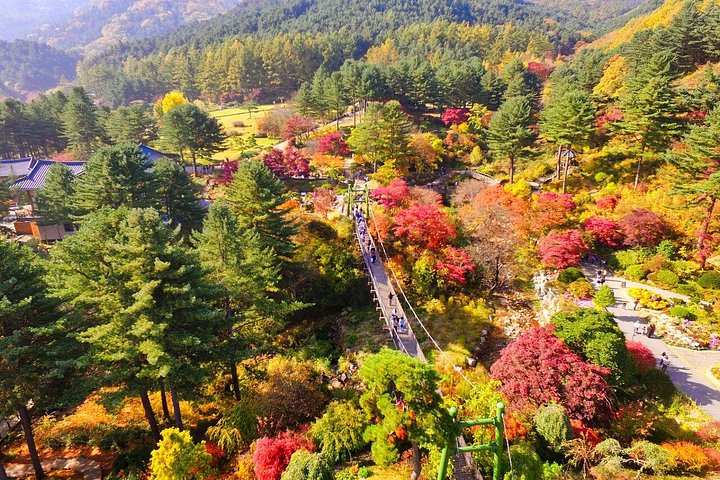Naturskøn dagsudflugt til Nami Island, The Garden of Morning Calm og Gangchon Rail Park fra Seoul, Sydkorea, foto 34 | wizardtrip