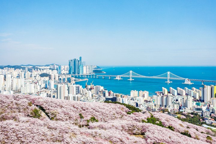Beleza costeira de Busan: Gamcheon Culture Village, Sky Capsule e Oryukdo Skywalk, foto 8 | wizardtrip