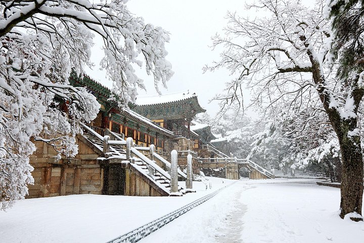 Geführte Tour zu UNESCO-Weltkulturerbestätten in Gyeongju, Südkorea, ab Busan, Foto 25 | wizardtrip