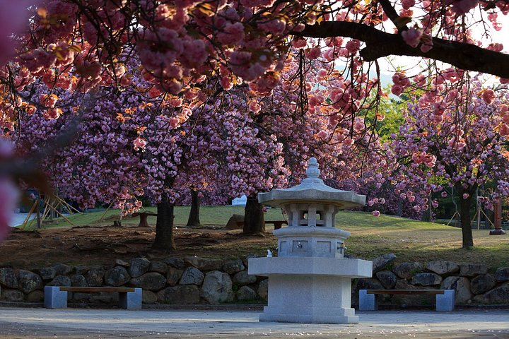 Geführte Tour zu UNESCO-Weltkulturerbestätten in Gyeongju, Südkorea, ab Busan, Foto 30 | wizardtrip