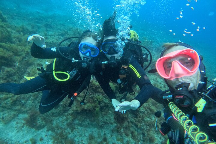 Beginners duik- en snorkelavontuur op Tenerife met kans op zeeschildpadden, foto 6 | wizardtrip